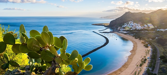 Cruise Canary Islands and Madeira | MSC Cruises