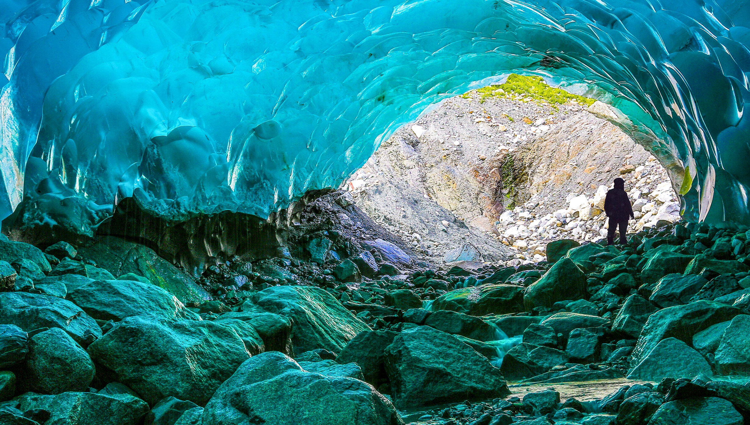 Mendenhall Glacier, Juneau | MSC Cruises