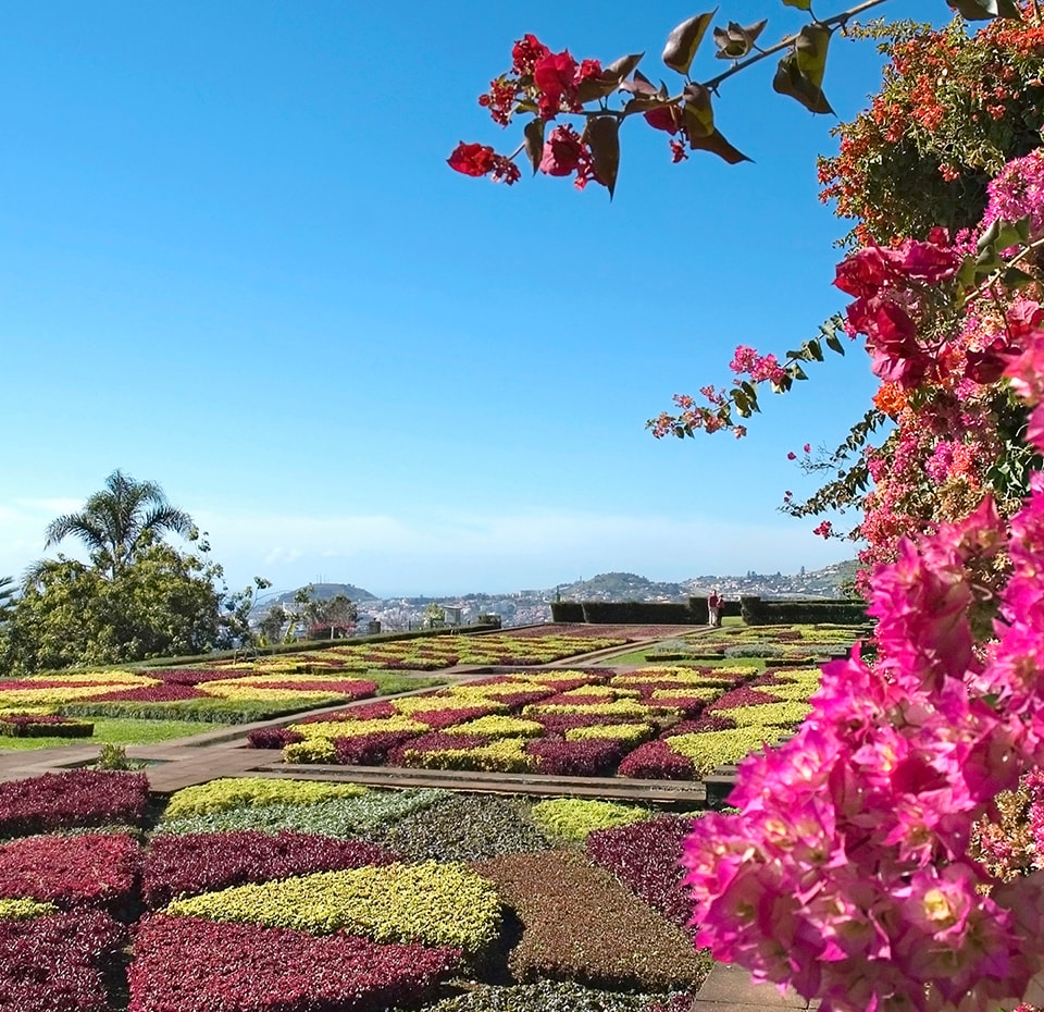 Lush green gardens overlooking beautiful Martinique and the mountains in the distance.
