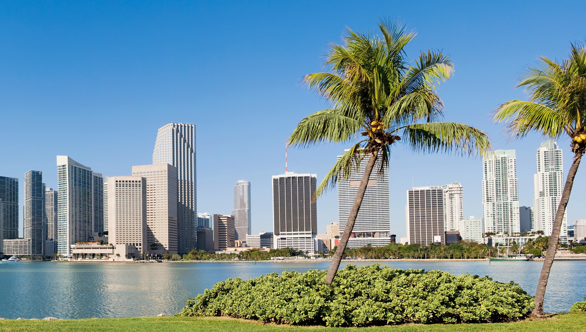 Miami Cruise