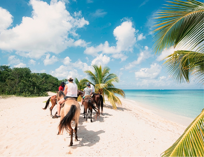 LET'S HOLIDAY BY DESTINATION | MSC Cruises